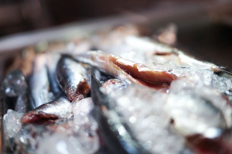 barcarpi_pescados