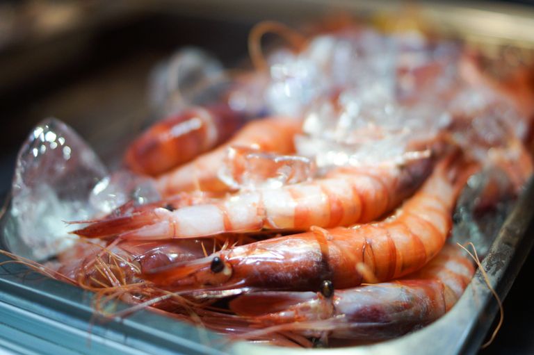 barcapri_gambas